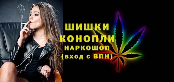шишки Анива