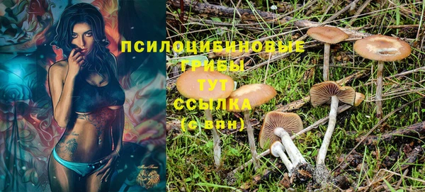 MDMA Premium VHQ Вяземский