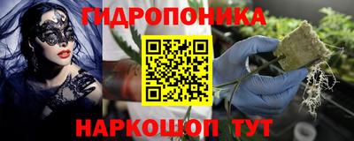 шишки Краснознаменск