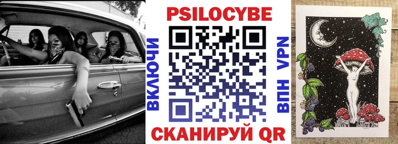 где купить   Ейск  Галлюциногенные грибы мицелий 