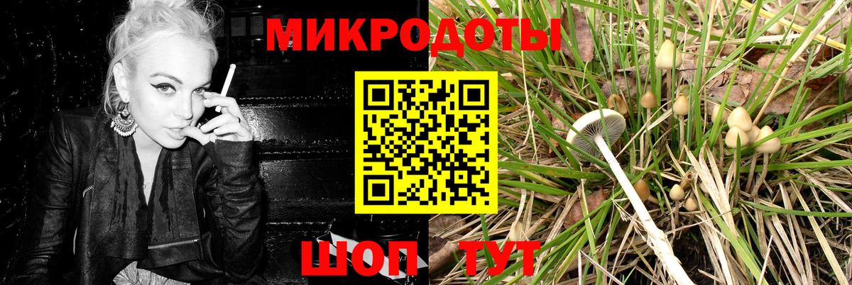 Псилоцибиновые грибы мицелий Ейск