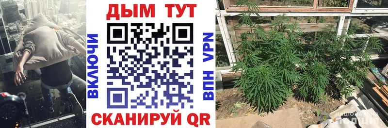 это клад  Ейск  Конопля ГИДРОПОН 
