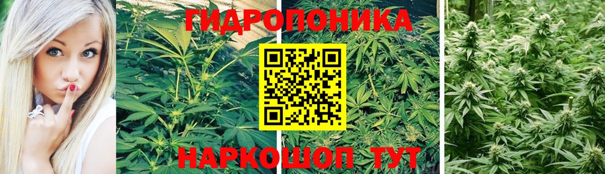 Бошки Шишки индика Ейск